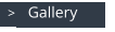 >   Gallery